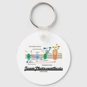 Team Photosynthesis (Light-Dependent Reactions) Key Ring
