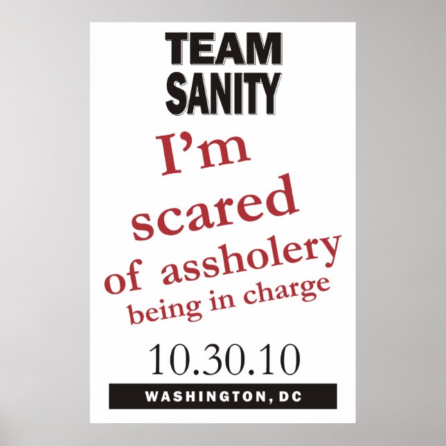 Team Sanity poster (Front)