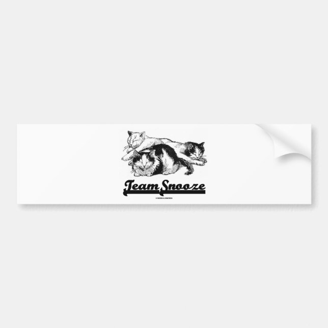 Team Snooze (Three Sleeping Snuggling Cats) Bumper Sticker (Front)