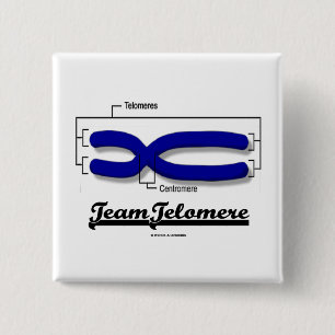 Team Telomere (Biology Humour) 15 Cm Square Badge