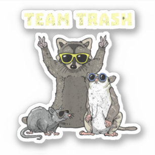 Team Trash Opossum Racoon Rat, Funny Animals Garb