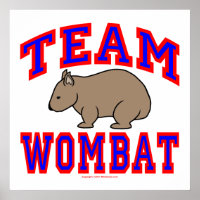 Team Wombat VI