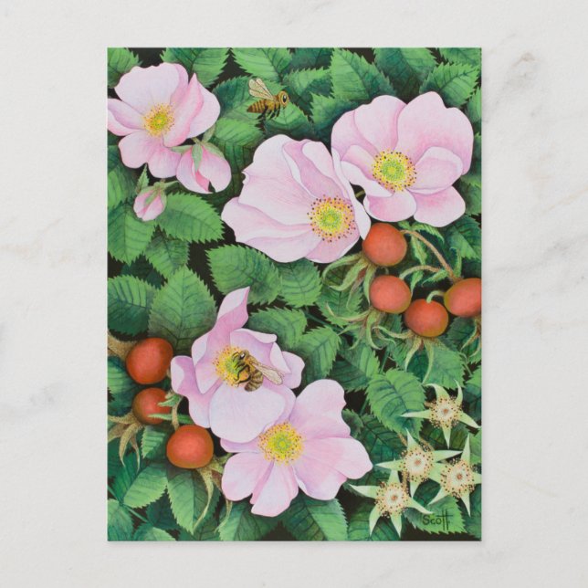 Team Work 2011 Postcard (Front)