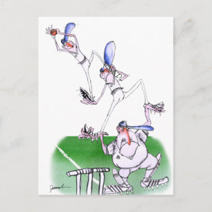 team work - cricket, tony fernandes postcard