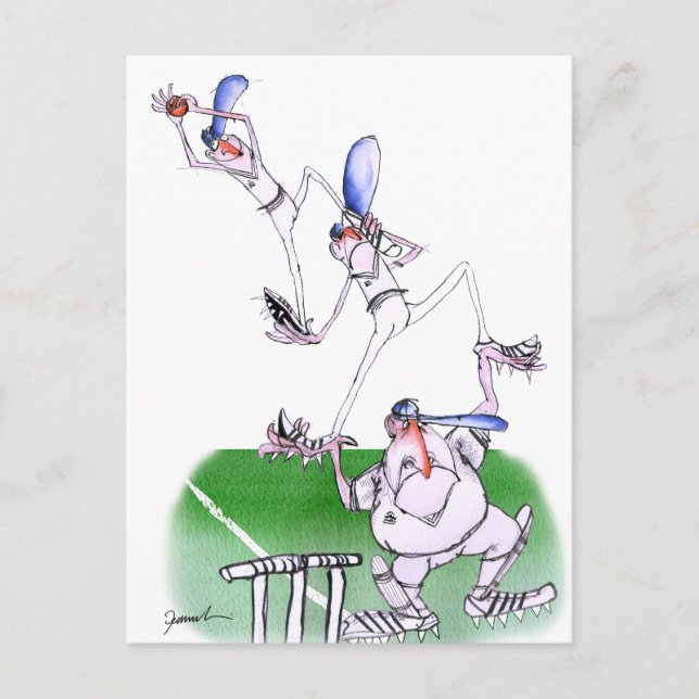 team work - cricket, tony fernandes postcard (Front)
