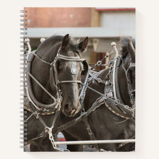 Team work notebook (Front)