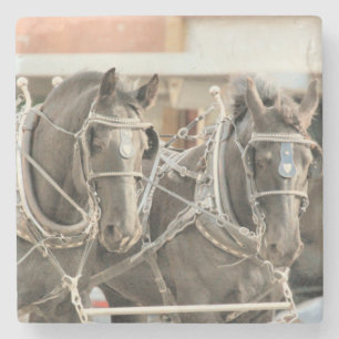 Team  work stone coaster