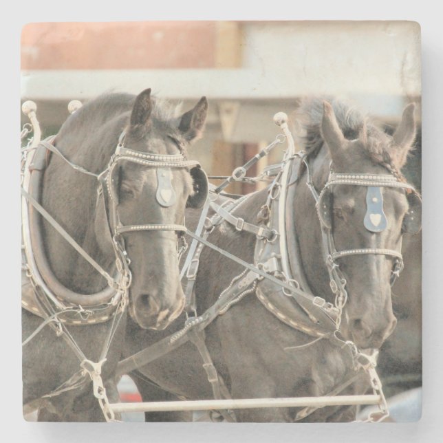 Team  work stone coaster (Front)