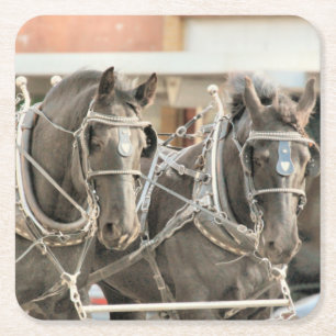 Team  work stone coaster