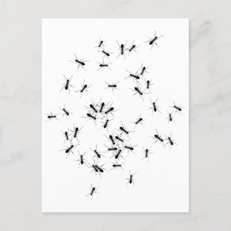 Teamwork makes the Dream Work Postcard