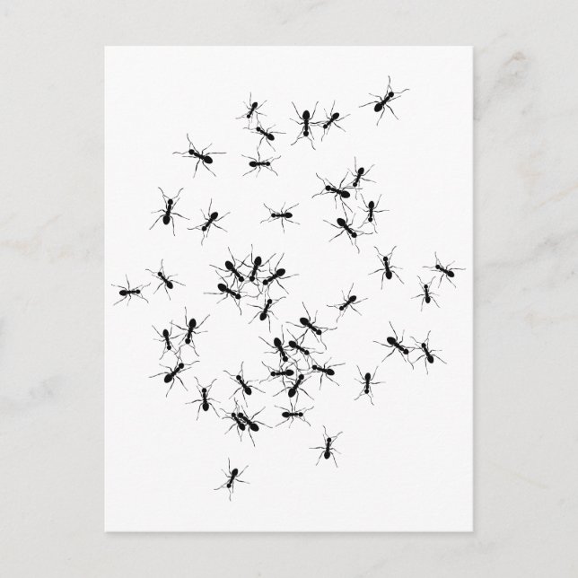 Teamwork makes the Dream Work Postcard (Front)