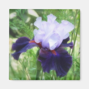 Teamwork - Tall Bearded Iris Magnet