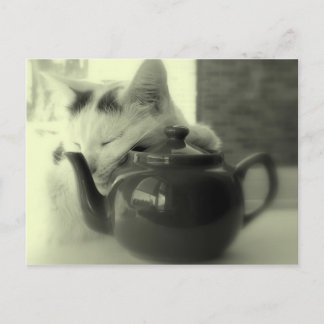 Teapot Pillow Postcard
