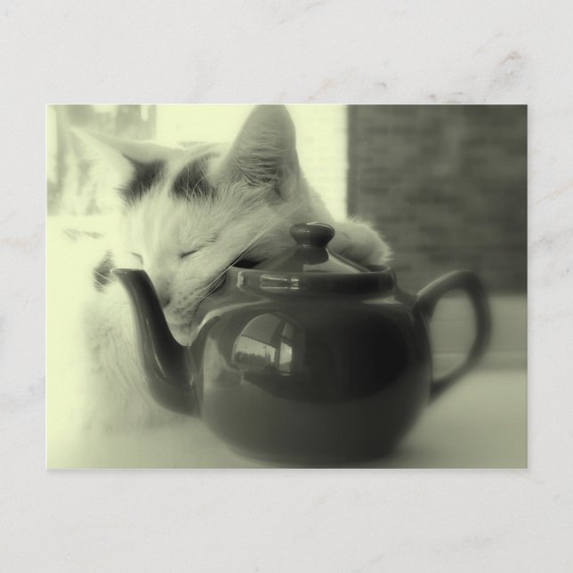 Teapot Pillow Postcard (Front)