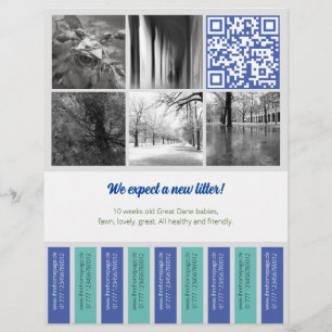 Tear Off Flyer square images