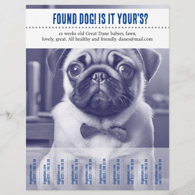 Tear Off found selling flyer  (Front)