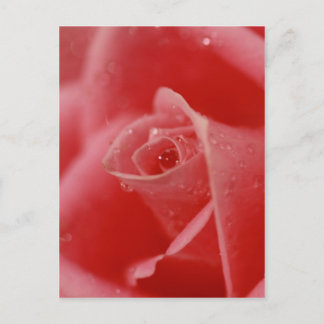 Teardrop in her eye postcard