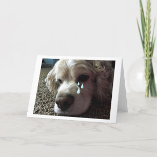 TEARY EYED COCKER SPANIEL SAYS "I MISS YOU" CARD