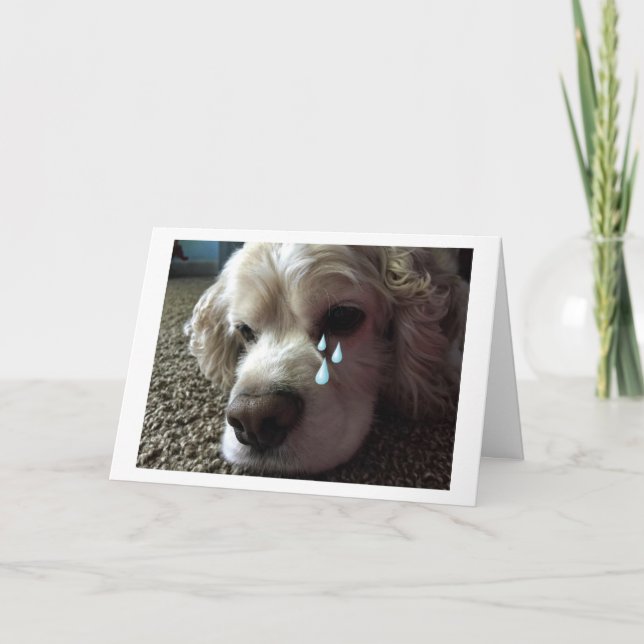 TEARY EYED COCKER SPANIEL SAYS "I MISS YOU" CARD (Front)