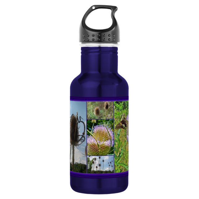 Teasel Thistle - Dipsacus fullonum 532 Ml Water Bottle (Front)