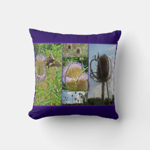 Teasel Thistle - Dipsacus fullonum Cushion