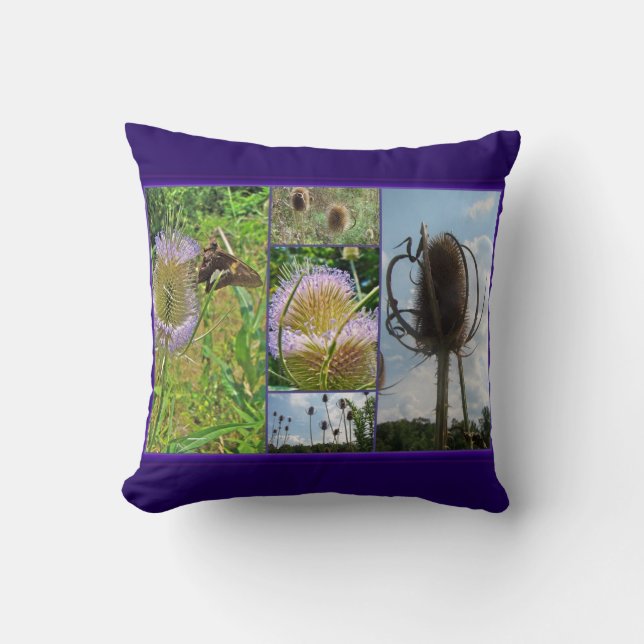 Teasel Thistle - Dipsacus fullonum Cushion (Front)
