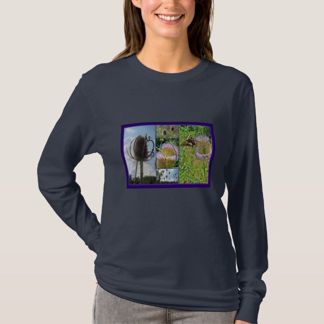 Teasel Thistle - Dipsacus fullonum T-Shirt (Front)