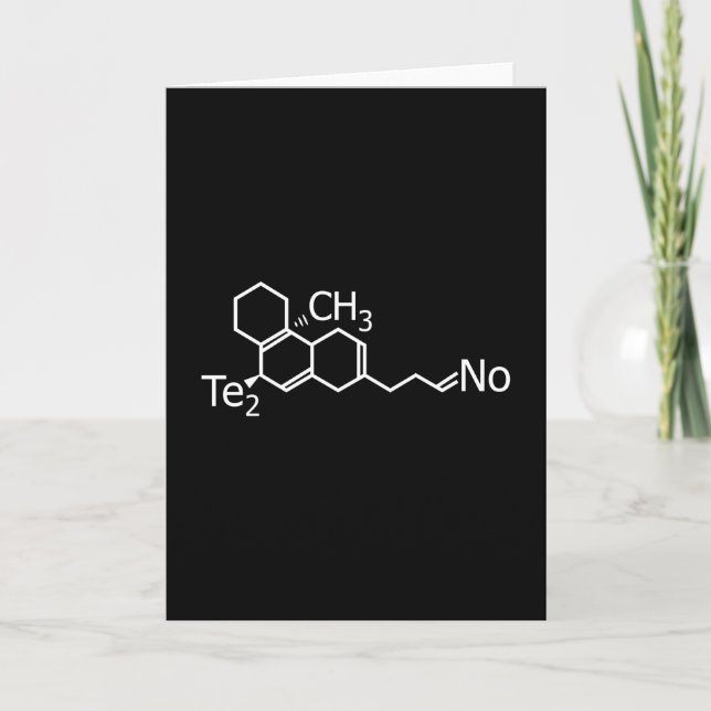 Techno Music DJ Rave Electro Festival Gift Idea Card (Front)