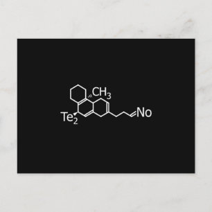 Techno Music DJ Rave Electro Festival Gift Idea Postcard