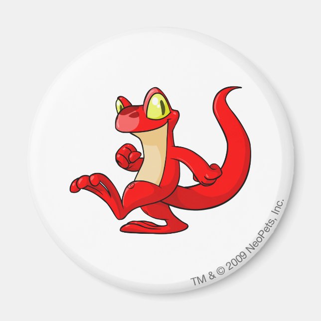 Techo Red Magnet (Front)