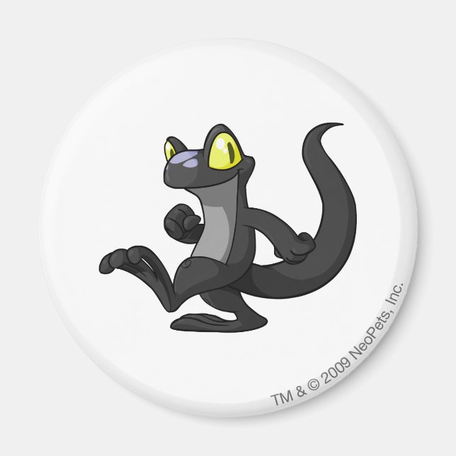 Techo Shadow Magnet (Front)