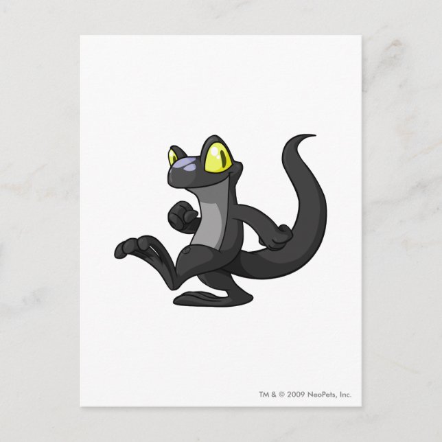 Techo Shadow Postcard (Front)