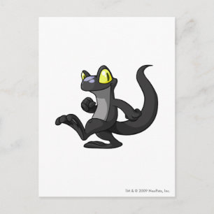 Techo Shadow Postcard