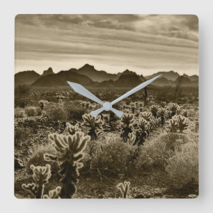 Teddy Bear Cholla Cactus Desert Plant Square Wall Clock