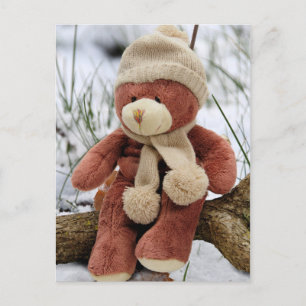 Teddy Bear Cute Postcard