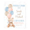 Teddy Bear Gender Reveal Welcome sign