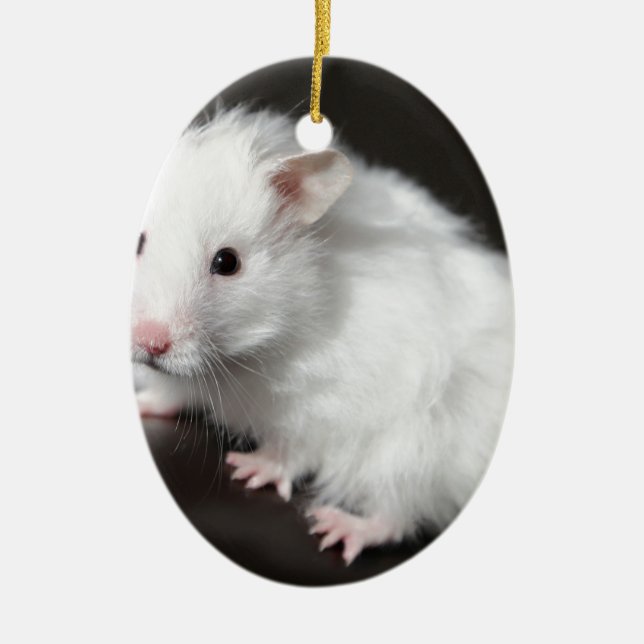 Teddy Bear Hamster Ceramic Ornament (Front)