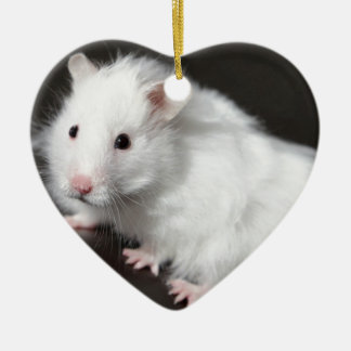 Teddy Bear Hamster Ceramic Tree Decoration
