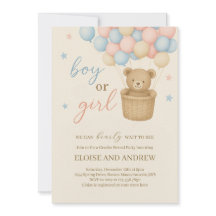 Teddy Bear Hot Air Balloon Gender Reveal