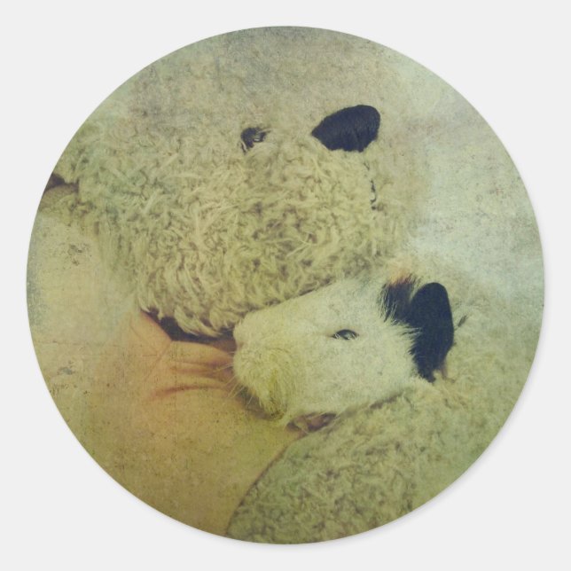 Teddy Bear Hugs A Guinea Pig Classic Round Sticker (Front)