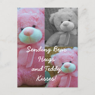 Teddy bear hugs Postcard