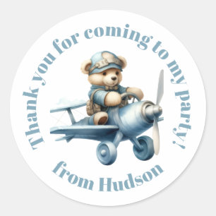Teddy Bear in a Plane Sticker