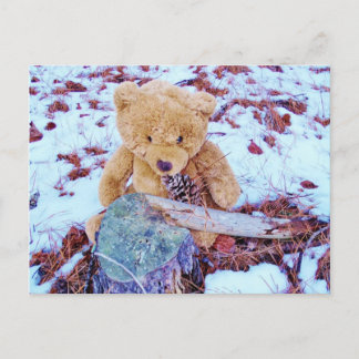 Teddy Bear in the Snow, denim blue tint Postcard