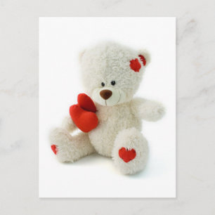 *Teddy Bear Love* Cute Teddy Postcard