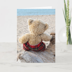 Teddy Bear On Driftwood Card
