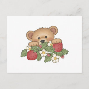 Teddy Bear picking strawberries Postcard