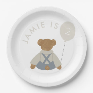 Teddy Bear Picnic Baby Birthday Paper Plate
