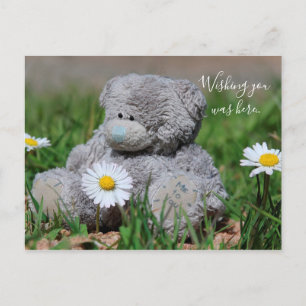 Teddy Bear Postcard
