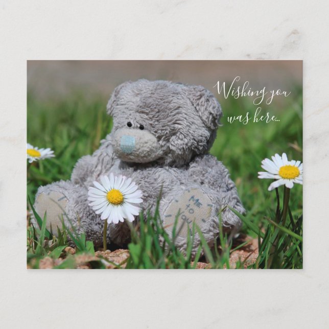 Teddy Bear Postcard (Front)