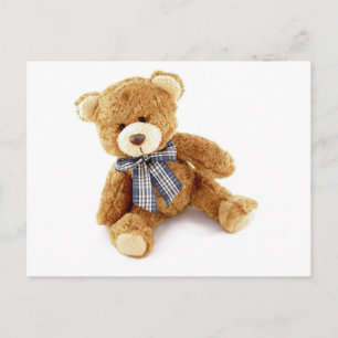 Teddy Bear Postcard